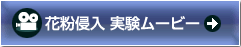 �ԕ��N�� �������[�r�[