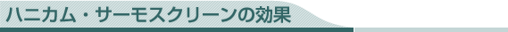 �n�j�J���E�T�[���X�N���[���̌���