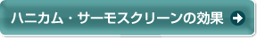 �n�j�J���E�T�[���X�N���[���̌���