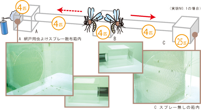 実験2 網戸用の虫よけスプレーってほんとに効果あるの 網戸と蚊の