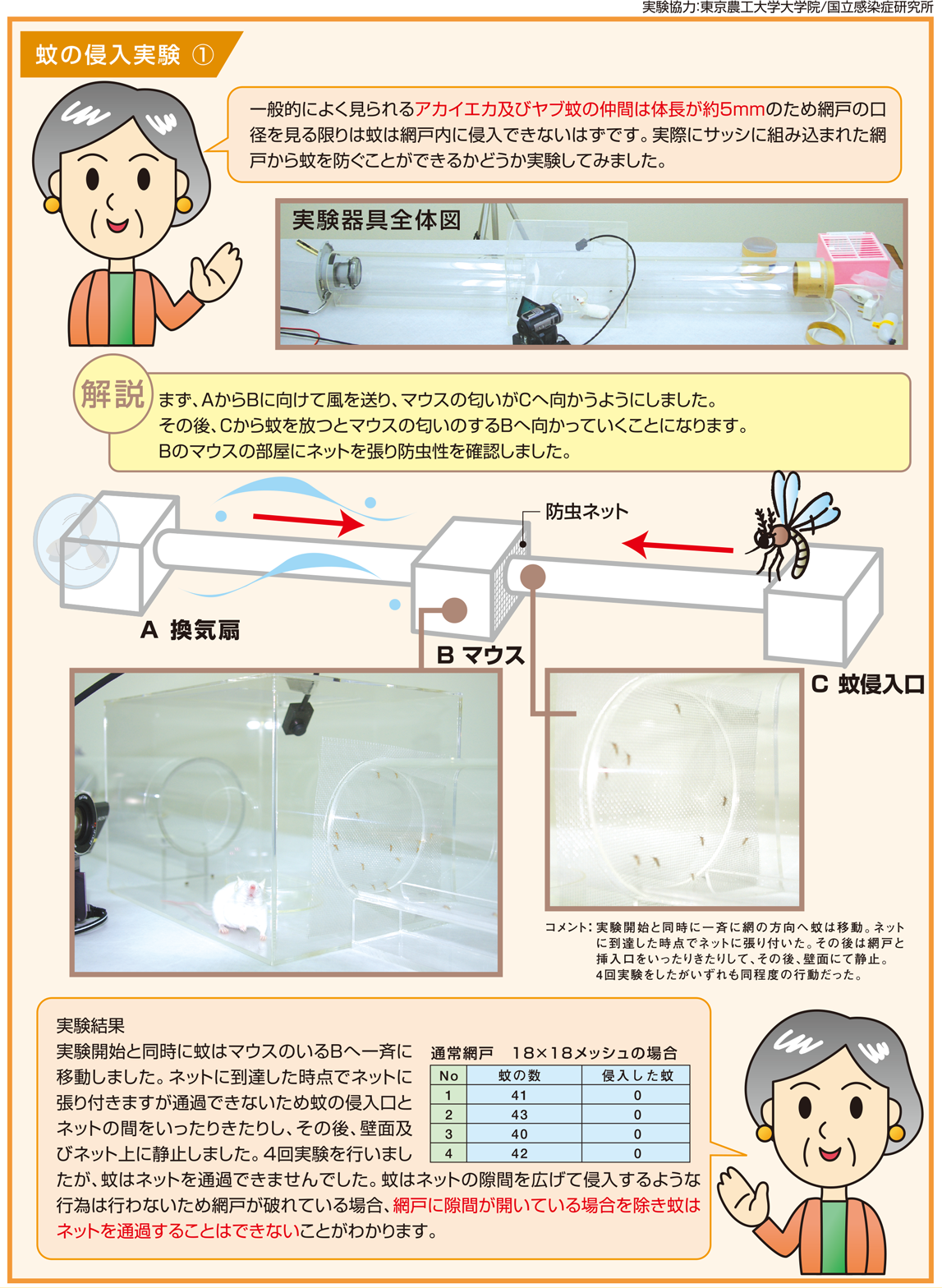 【実験】網戸は本当に虫の侵入を防げるの？